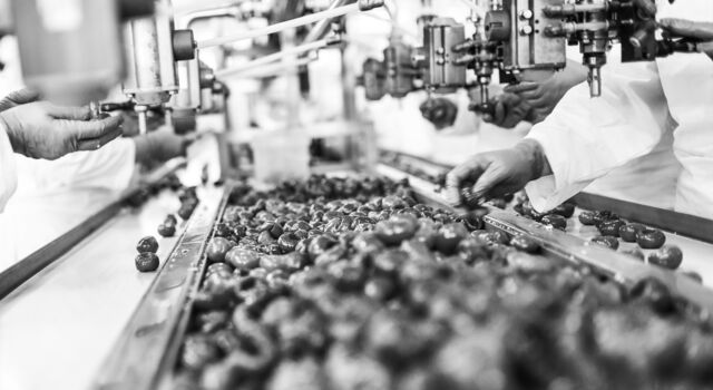 SINGLE-IMAGE_fruit-on-production-line_nov23