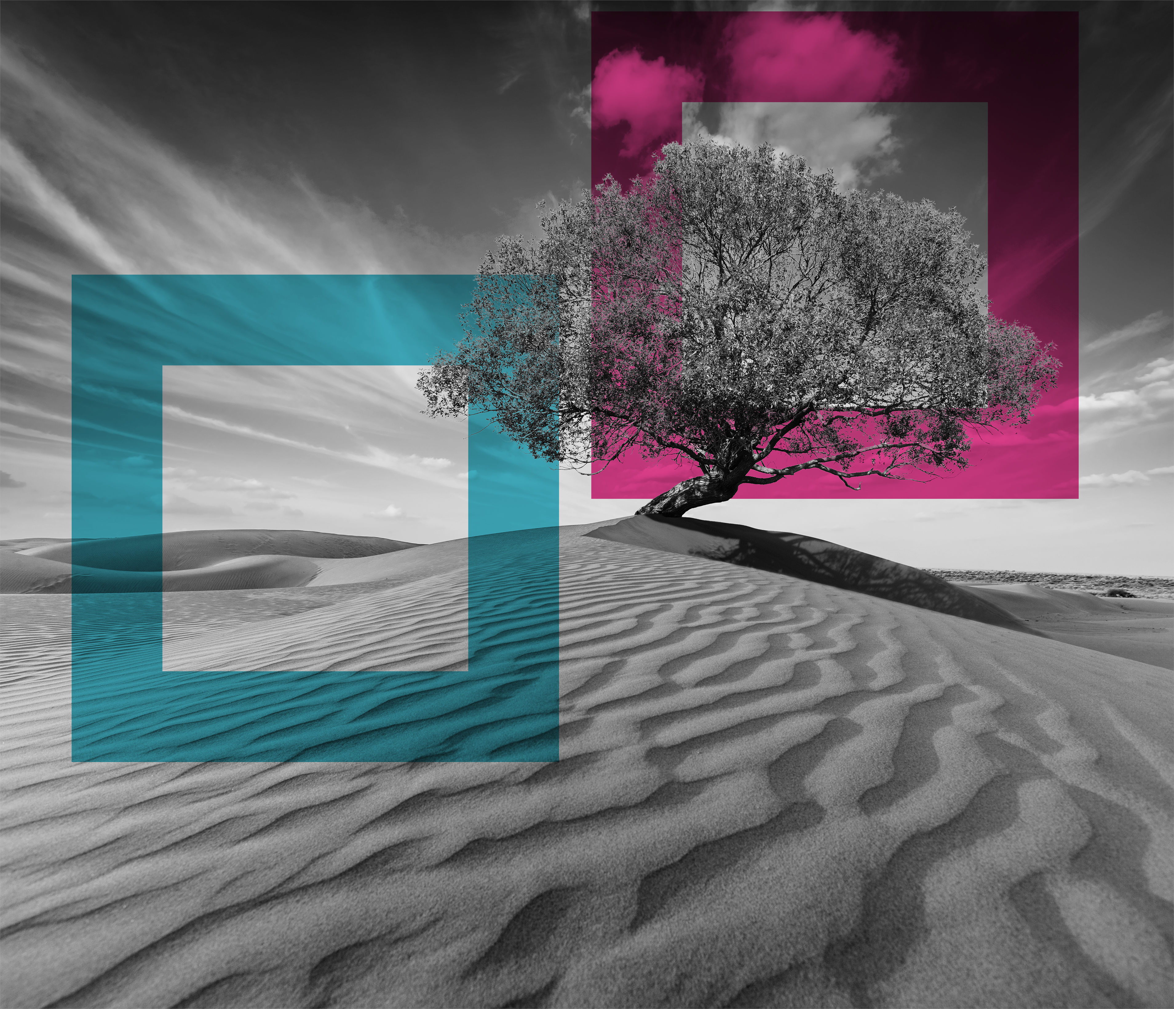 /bynder-asset/bynder:54253227-7BC2-46CF-9628F65CAA9C0F42/240/SINGLE-IMAGE_squares-tree-in-desserted-land_may25.png?1749636575000