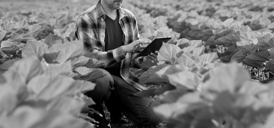 SINGLE-IMAGE_man-tablet-crops_aug23