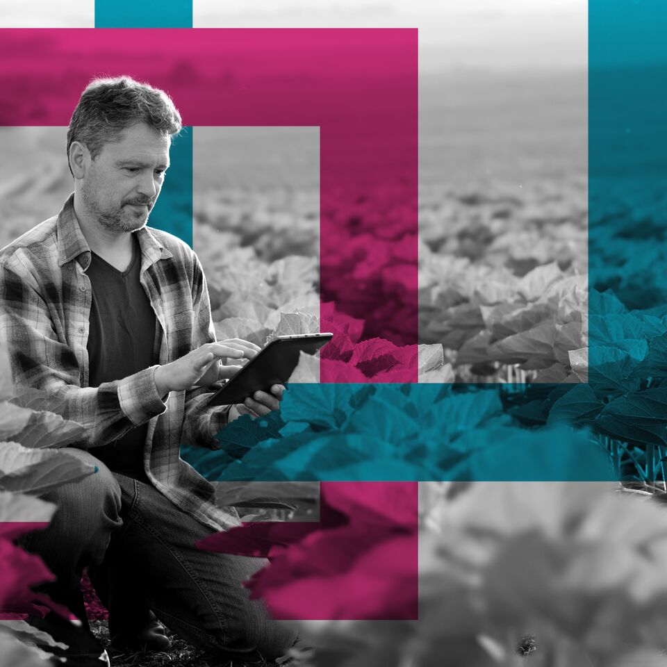 SINGLE-IMAGE_squares-man-tablet-crops_aug23